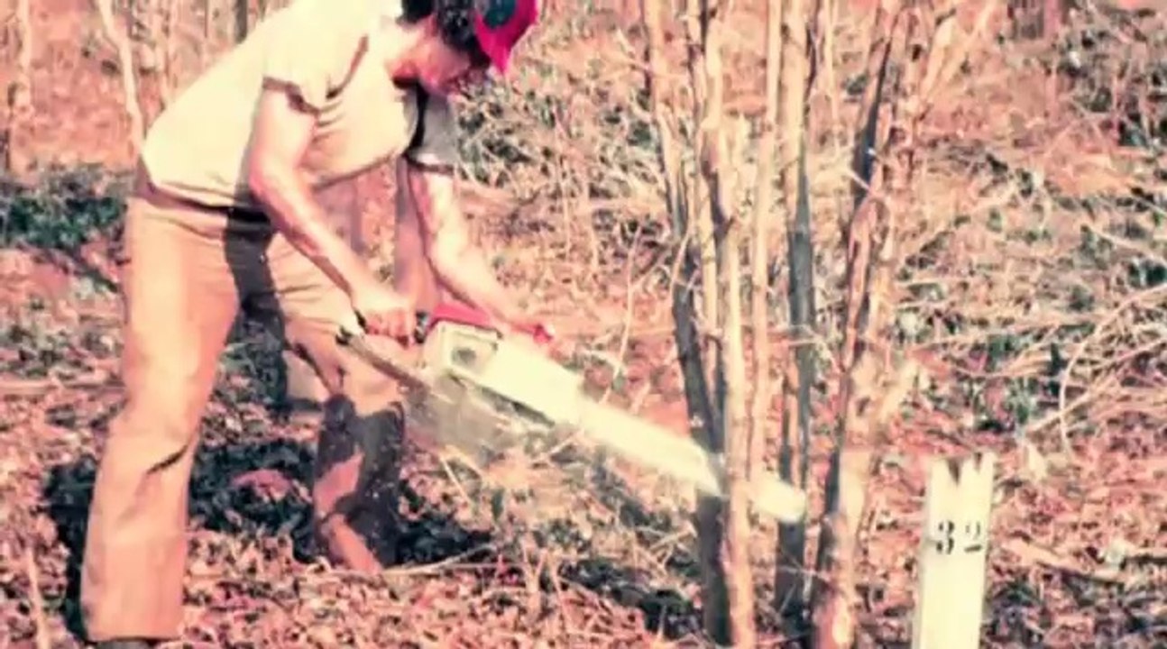 Geada Negra - Trailer