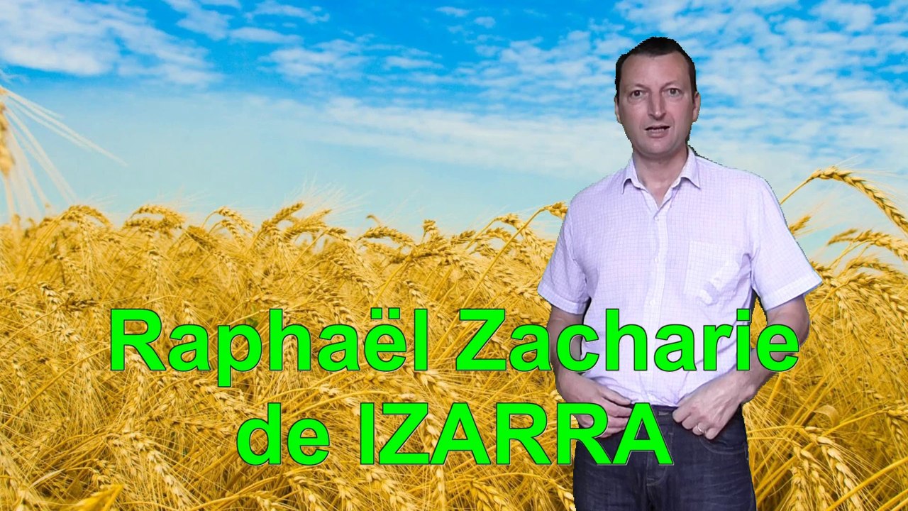 Aigle vert postule pour piloter vaisseau lunaire - Raphaël Zacharie de IZARRA