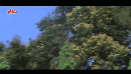 Main Teri Prem Deewani - Himalaya, Bhagyashree, Qaid Mein Hai Bulbul Song