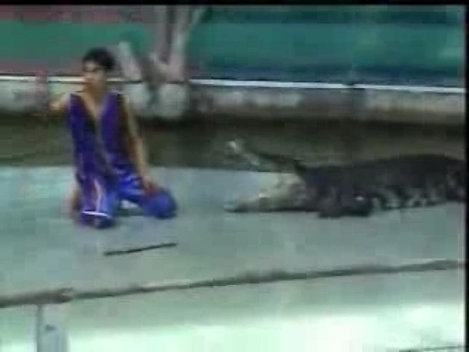 Crocodile mange main !