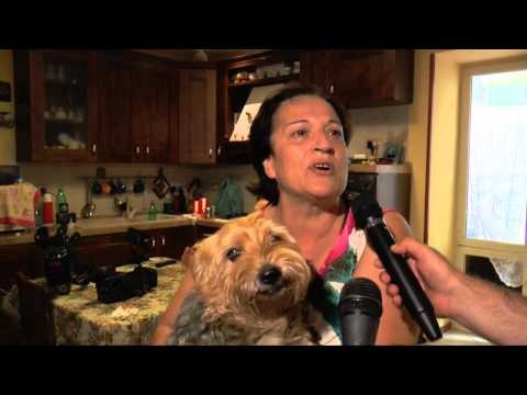 Pozzuoli (NA) - Neonata abbandonata trovata in un condominio -live- (23.08.14)