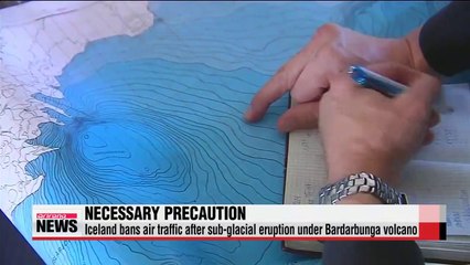 Iceland bans air traffic after sub-glacial eruption under Bardarbunga volcano