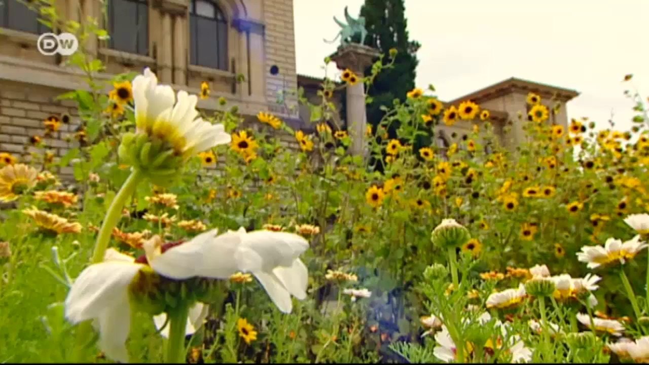 Euromaxx highlights | euromaxx