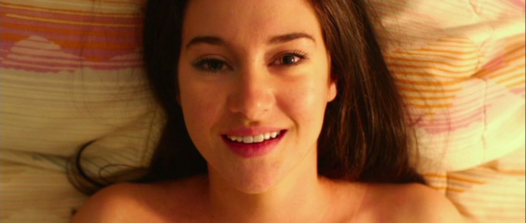 White Bird in a Blizzard    -    trailer