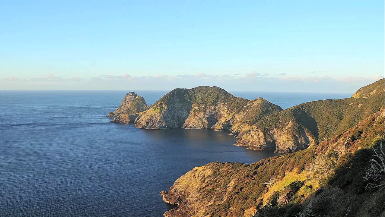 NZ Cape Brett track