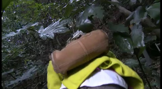 PARANORMAL EFFECT : A Japanese Curse (Ju-So) - Final Trailer (VOD/DVD)