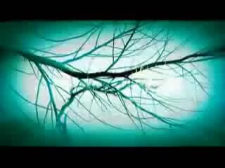 Spiderwick Chronicles Movie Official Trailer 1