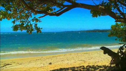 valte49 da "oceano mare" di A Baricco