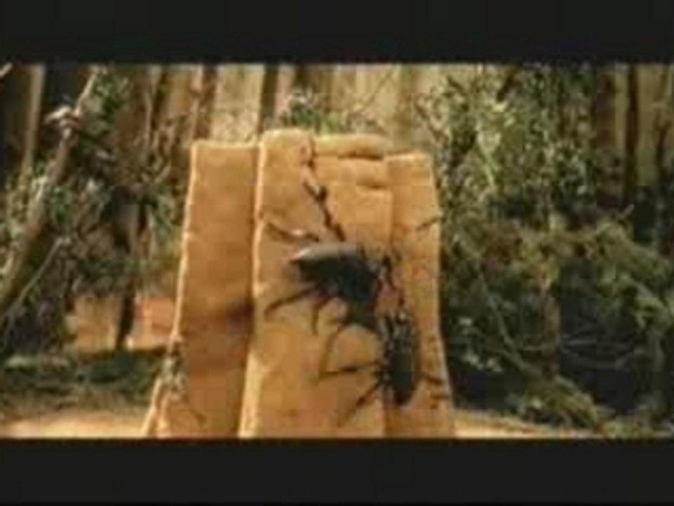 [Video] Rammstein - Links 2 3 4