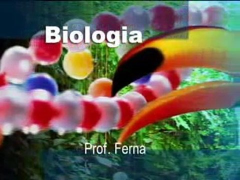 BIOLOGIA FUNGOS CLASSIFICAÇÃO E CARACTERÍSTICAS