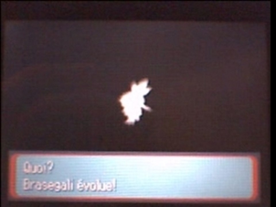 Evolution de poussifeu shiney