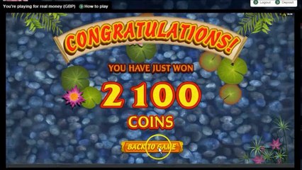 Lucky Koi - Koi Bonus Preview