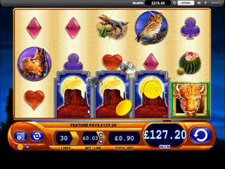 Replicating Wild Bonus