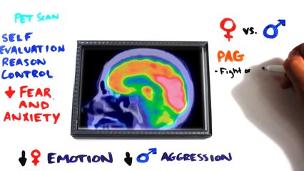 The Science of Orgasms