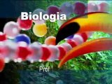BIOLOGIA FISIOLOGIA DA TRANSPIRAÇÃO E FISIOLOGIA DO TRANSPORTE DAS SEIVAS