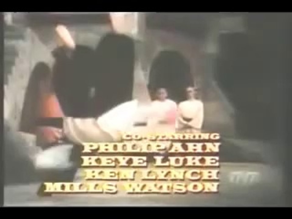 KUNG FU T.V. INTRO