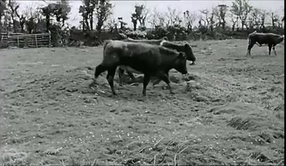 Sliabh Luachra -Voices from a Hidden People,RTE