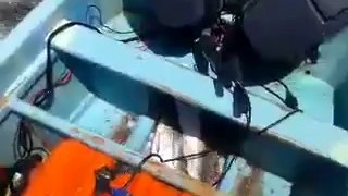Fish in Gaza sea jumping into fishermen boats during ceasefire (VIDEO)