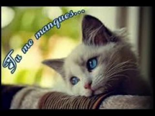 Chanson ALOUETTE ALOUETTE