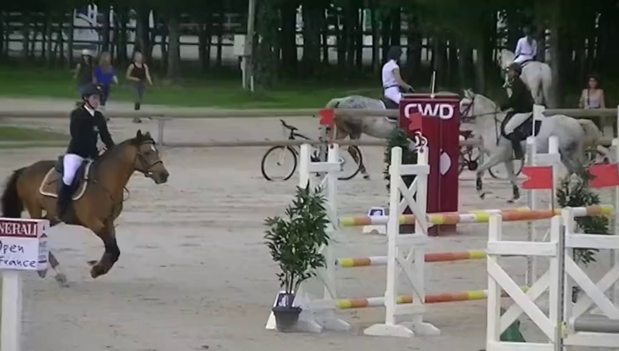 Sologn pony 2014 - critérium E Elite - Kaolin et moi