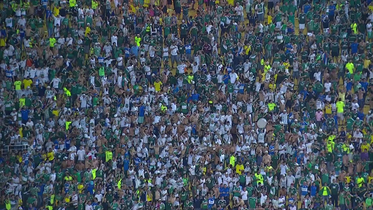 Palmeiras vence o Coritiba e sai do rebaixamento