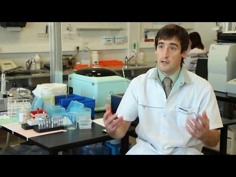 Laboratorio De Análisis Clínicos e Inmunológicos / Clinical laboratory and immunological