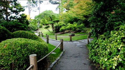 Adventure with Roger’s Camera 📸