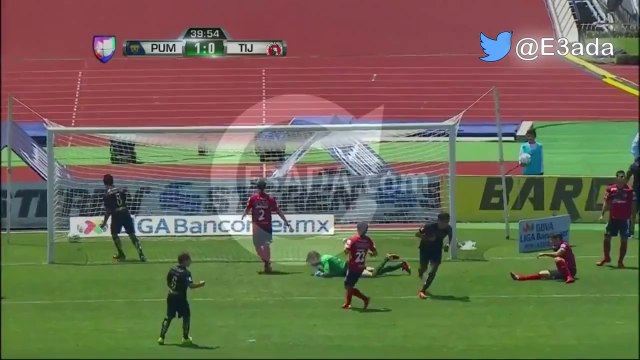 U.N.A.M.- Pumas 1-1 Club Tijuana بتاريخ 24/08/2014 - 18:00