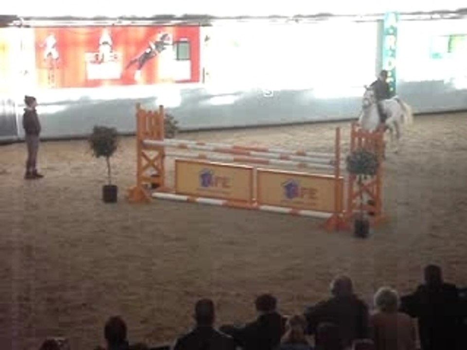 MOV01561