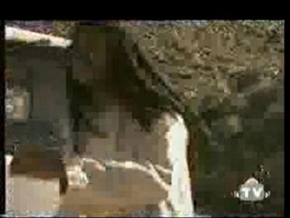 Video [Matti Divertenti Stupidi]