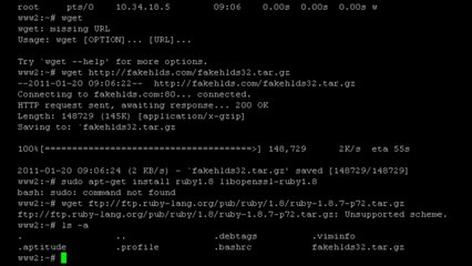 GAMBITO HATTACK (world's worst hacker)