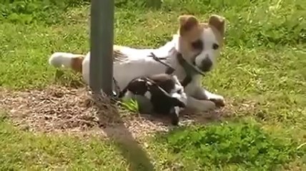 Dost olmak zor değil ,  ispatı