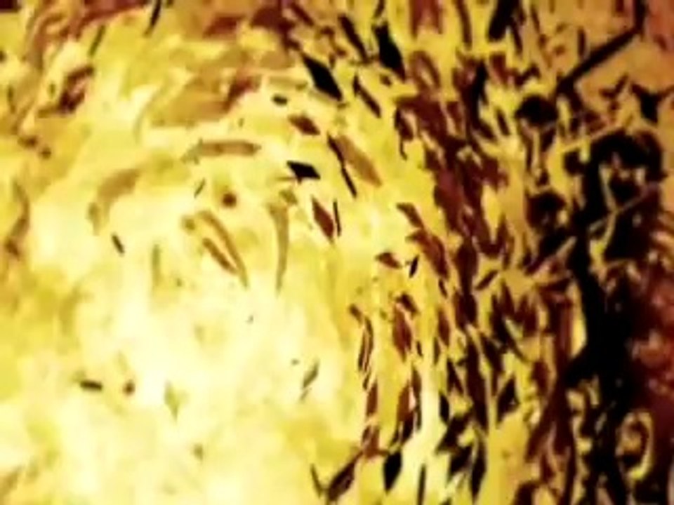 Operation Homecoming trailer