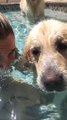 Cute dog blows bubbles in the pool!