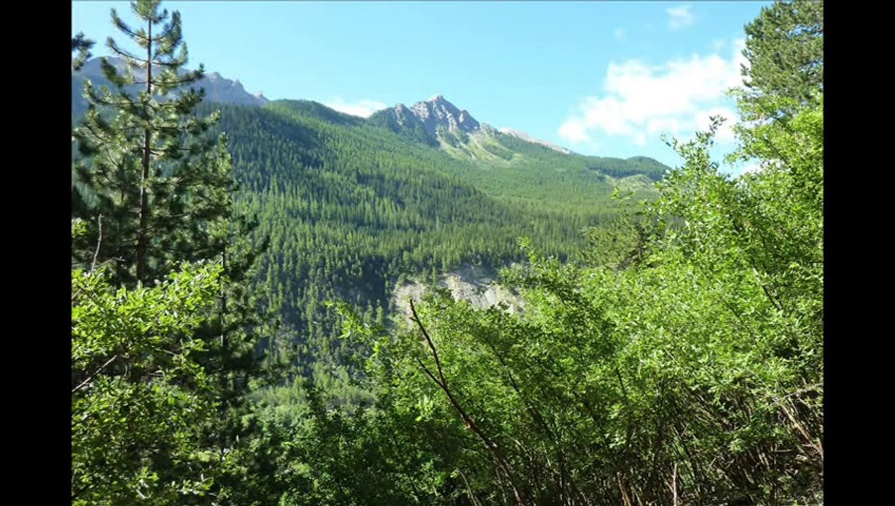 Boucle  Meyronnes  St  Ours par La Rochaille   (Alpes de Haute Provence)