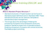 Sap ps online training USA,UK and Canada