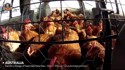 Mükemmel hayat kurtarma hikayeleri