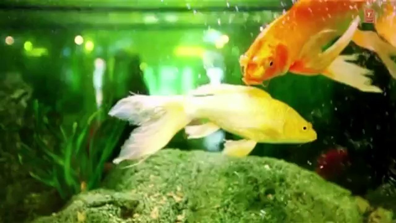 Offeran Gurkirpal Surapuri New Punjabi HD Song _ Young Beats -