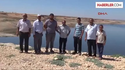 Baraj Suları Çekildi, Balık Ölümleri Başladı