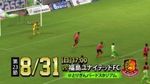 ２０１４ Ｊ３ 第２３節　ガイナーレ鳥取 ｖｓ 福島ユナイテッドＦＣ　告知ＣＭ