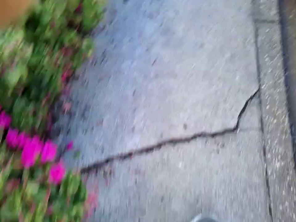 sonde lambda fiat panda 900ie