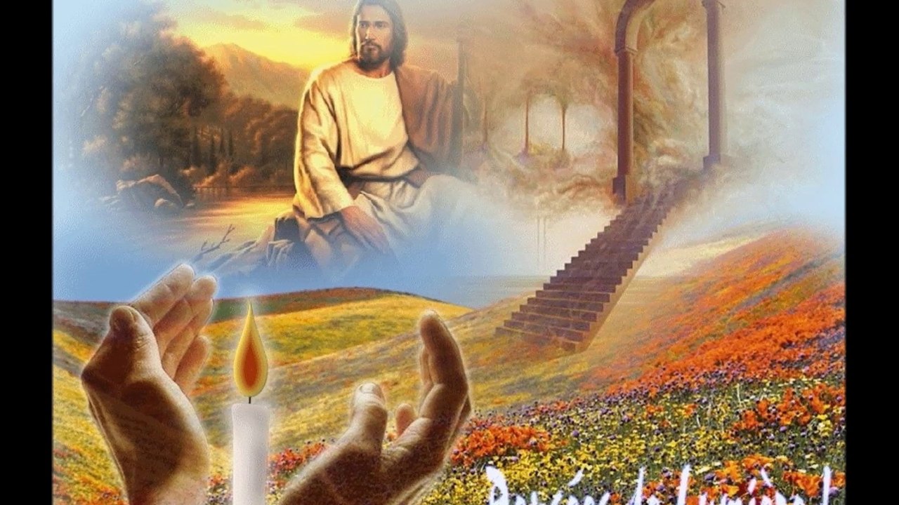 pour  mon papa  parti  tro vite