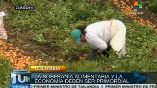 Colombia: agricultores piden al gobierno cambios estructurales