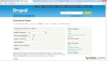 Create Your First Online Store with Drupal Commerce - Introduction - Previewing the finished project