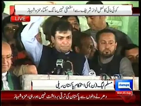 Hamza Shabaz Sharif Speech In PMLN Rally - 25th August 2014