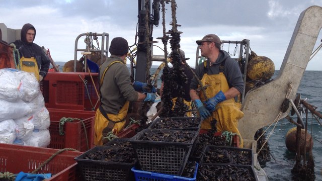 Embarquement pour pêcher les moules