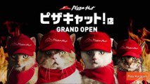 Ad Campaign Features Pizza Hut in Japan Run Entirely By Cats