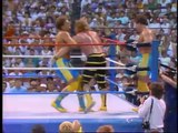 Killer Bees vs. Fabulous Rougeaus