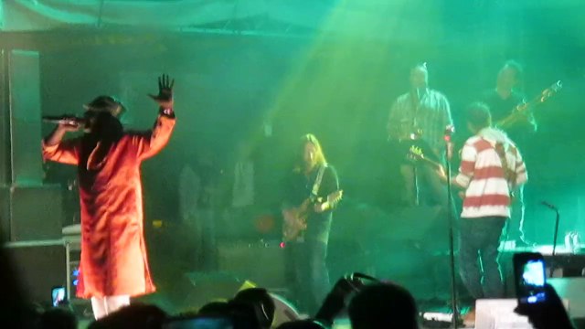 Alpha Blondy - Brigadier Sabari festival le petit village 2014