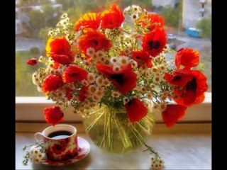 P'tite fleur aimée.